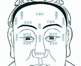 如何结合面相和风水信息进行同步分析和改善？