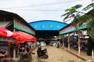 2. 东提市场——自助挑挑拣拣大冒险