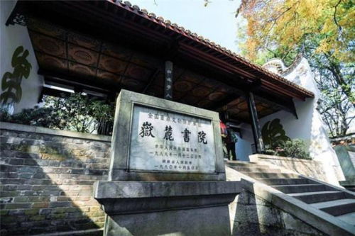 数字藏品与沉浸式体验包