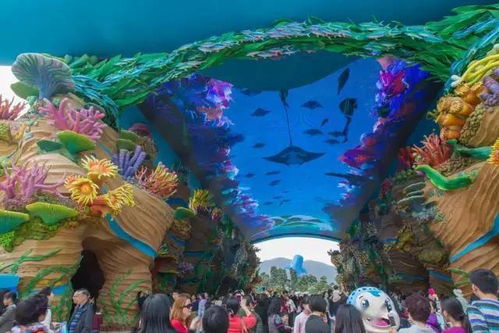 海豚湾：海洋精灵的乐园（如guo你不介意被水弹）