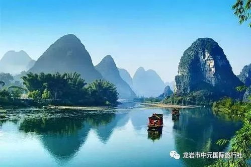 五、桂林青菜的选购与储存——乱七八糟指南
