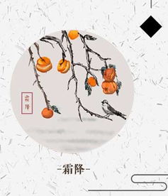 时辰禁忌与风水布局细节（噪音版）