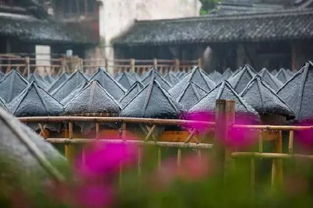 五、吃喝玩乐——全都是幻觉？