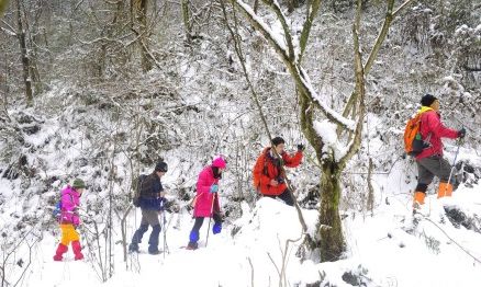 西岭雪山：老牌雪景， 必须打卡