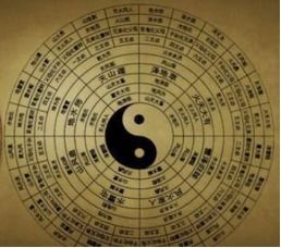 杜恒林易经风水大师，您能讲解一下数易经风水的基本原理吗？