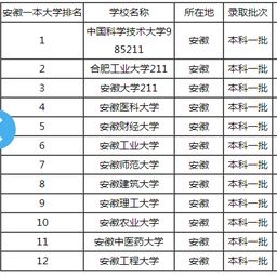 一、 安徽省内一本较大学名单