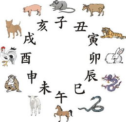 哪一年是炙手可热的生肖年，炙手可热的生肖是什么生肖，其含义是什么？