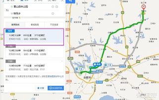 浦东赏花一网打尽，春日旅游爆款地图速览！
