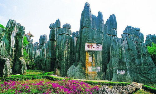 第四天：石林探险