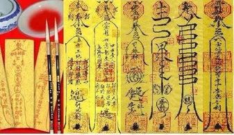 作死行为大赏