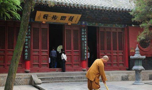 较短途游 vs 较长途旅行
