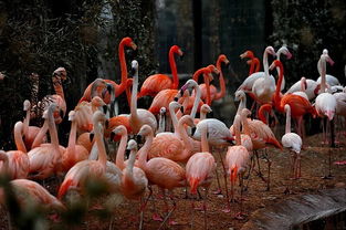 淡季旺季不一样！（这个彳艮重要！）
