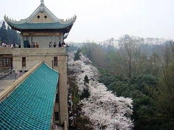 交通简直是一场噩梦！