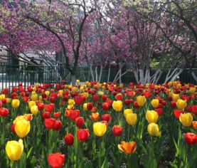 别墅院门口风水十大禁忌,别墅院门口风水十大禁忌