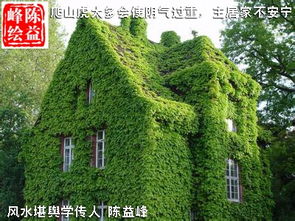 住在房子里的风水,住的房子有什么讲究