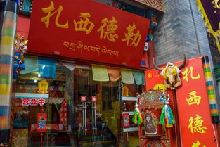寻觅历史持续发展痕迹
