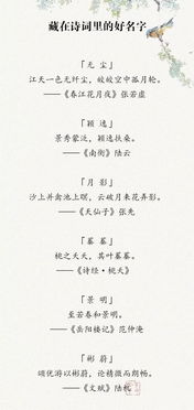 名字的“噪音”问题