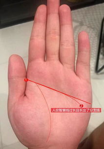 二、断掌真的克夫吗？先别急着掐死老公！