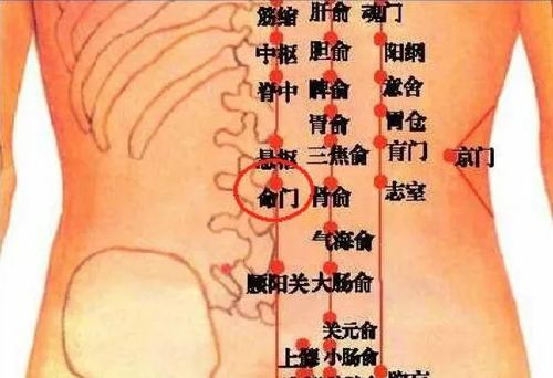 二、 痣多如星辰：活力新陈代谢的指示灯