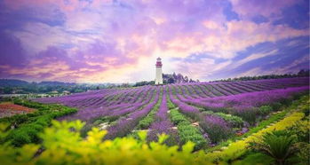 旺季避雷：所有人都挤在4-5月的时候，聪明人早就发现了这个秘密