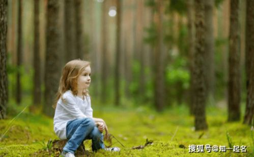 女生用带湖字的名字大杂烩