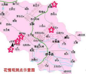 五、独特的产业结构：从“桃乡”到更多元持续发展