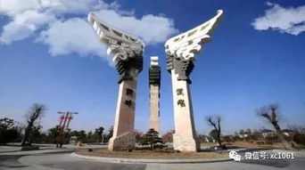 三、 野趣大冒险：从鸸鹋到恐龙化石，从雨林到星空露营