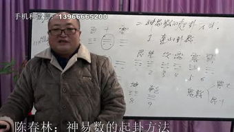 皇极梅花陈春林断案实例,皇极梅花风水禁忌