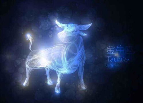 感情：乱花渐欲迷人眼