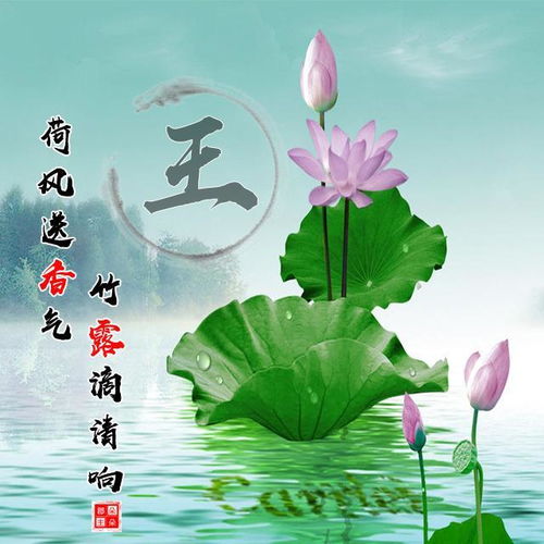 水姓的微信头像名字，究竟该选哪种？