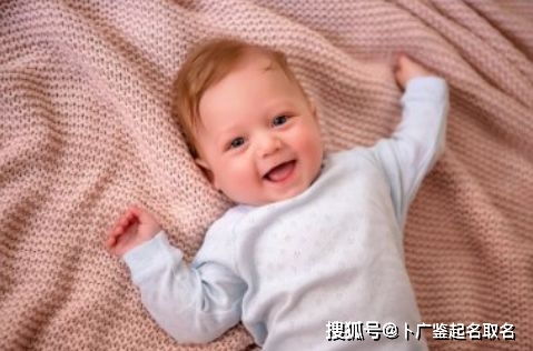 一、 先从生肖说起——属鼠的“妙手”