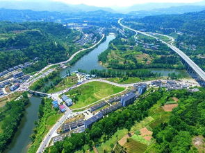 真实案例？笑yue了！