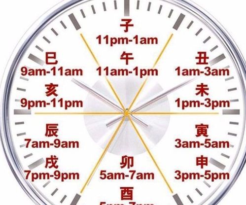 如何查询每日十二时辰的吉凶信息？
