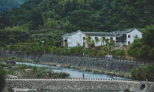 水乡风情，尽收眼底