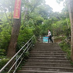 门票价格的奇幻漂流