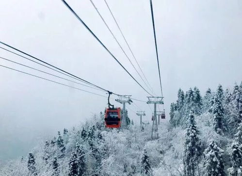 哈尔滨的冬天，冷得让人想哭，但美得让人想死