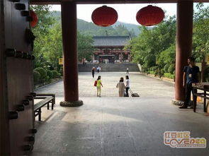 别再傻乎乎地相信了：揭露寺庙禅修班背后的真实相（以及各种奇葩经历）