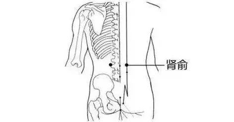 四、 腰部长点肉不易骨折 别盲目追求纸片人