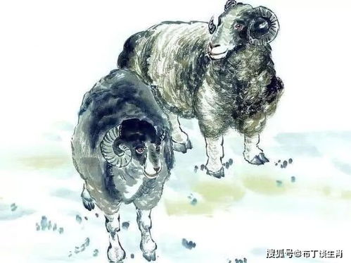 1979年属羊的人进入2026九紫离火运，他们的财运在2026年会怎样？