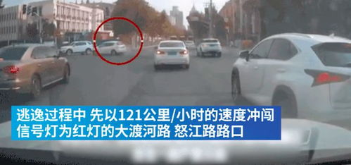 命里有时终须有