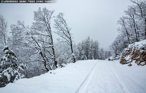 雪色美景？别闹了！