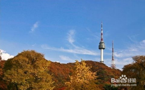 临时突发状况应急指南（根本不会用到）