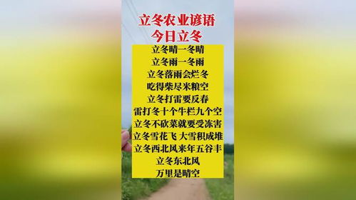 立冬来临，农事何时做？
