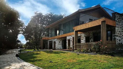 再说说再说一句