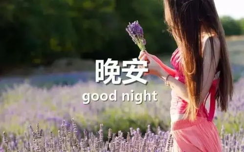 月光下的影子