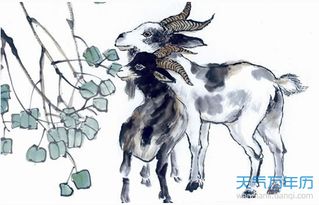 1979年出生属羊的人今年的健康运势整体如何？