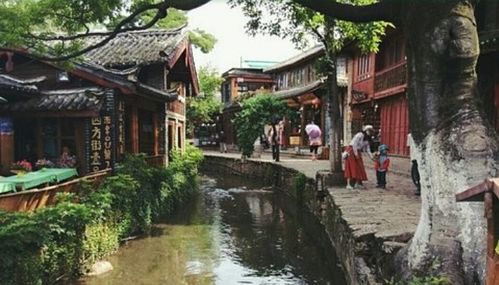 3. 束河古镇？呵呵！
