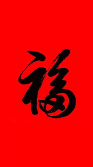 如何利用小物件提升家居风水?