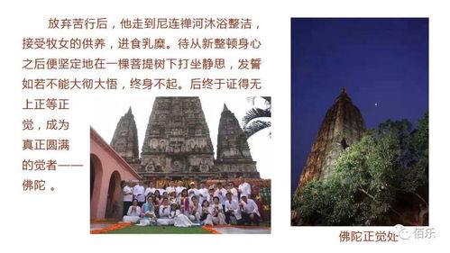 禅修游学：心境旅程，一场与自我对话的奇妙冒险？ (改名后的文章)