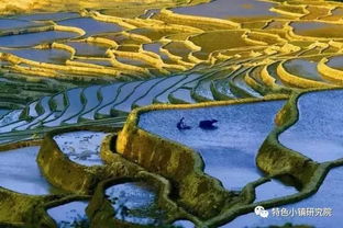 农村坡地怎么利用,坡地村镇什么意思